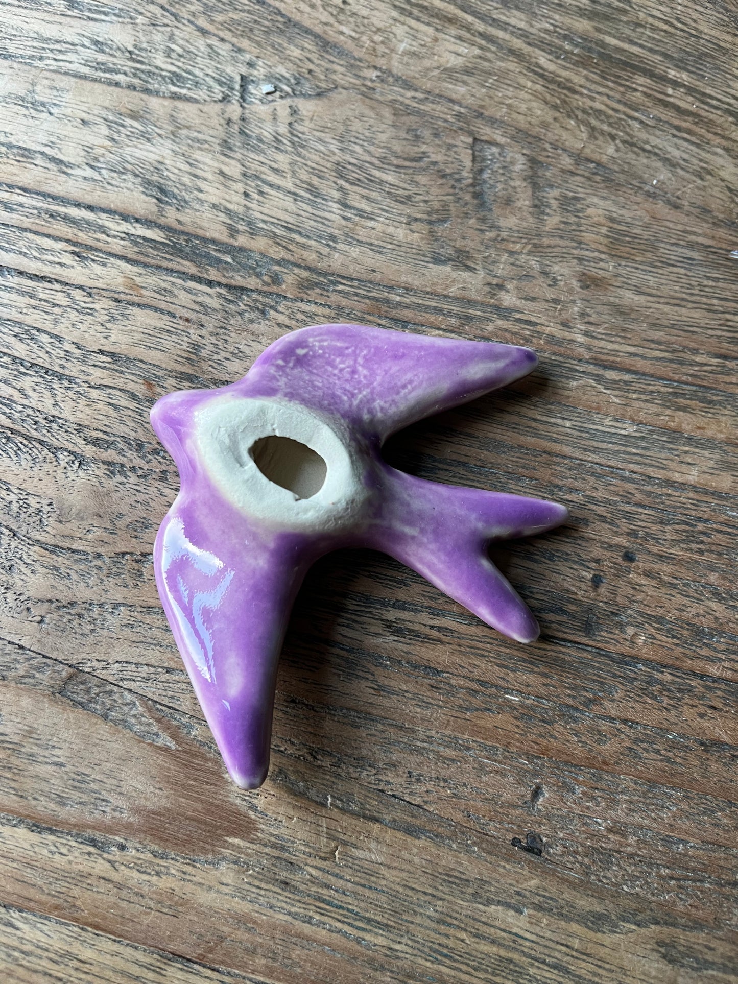 Zwaluw voor aan de muur paars