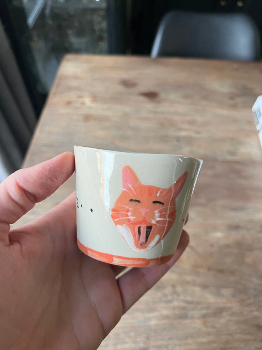 Kattenkopje gaap - #2