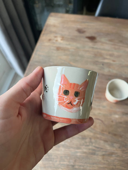 Kattenkopje pootjes - #2