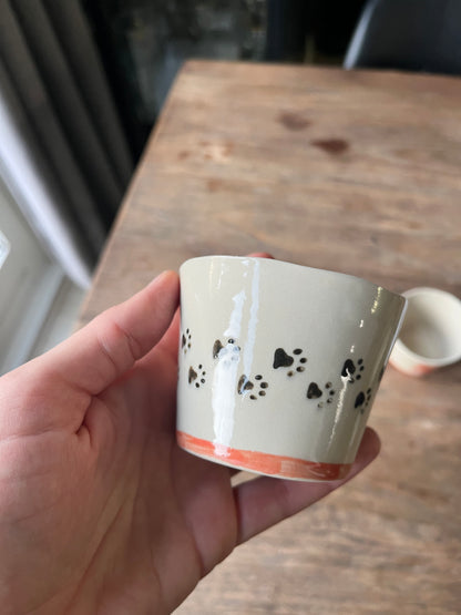Kattenkopje pootjes - #2
