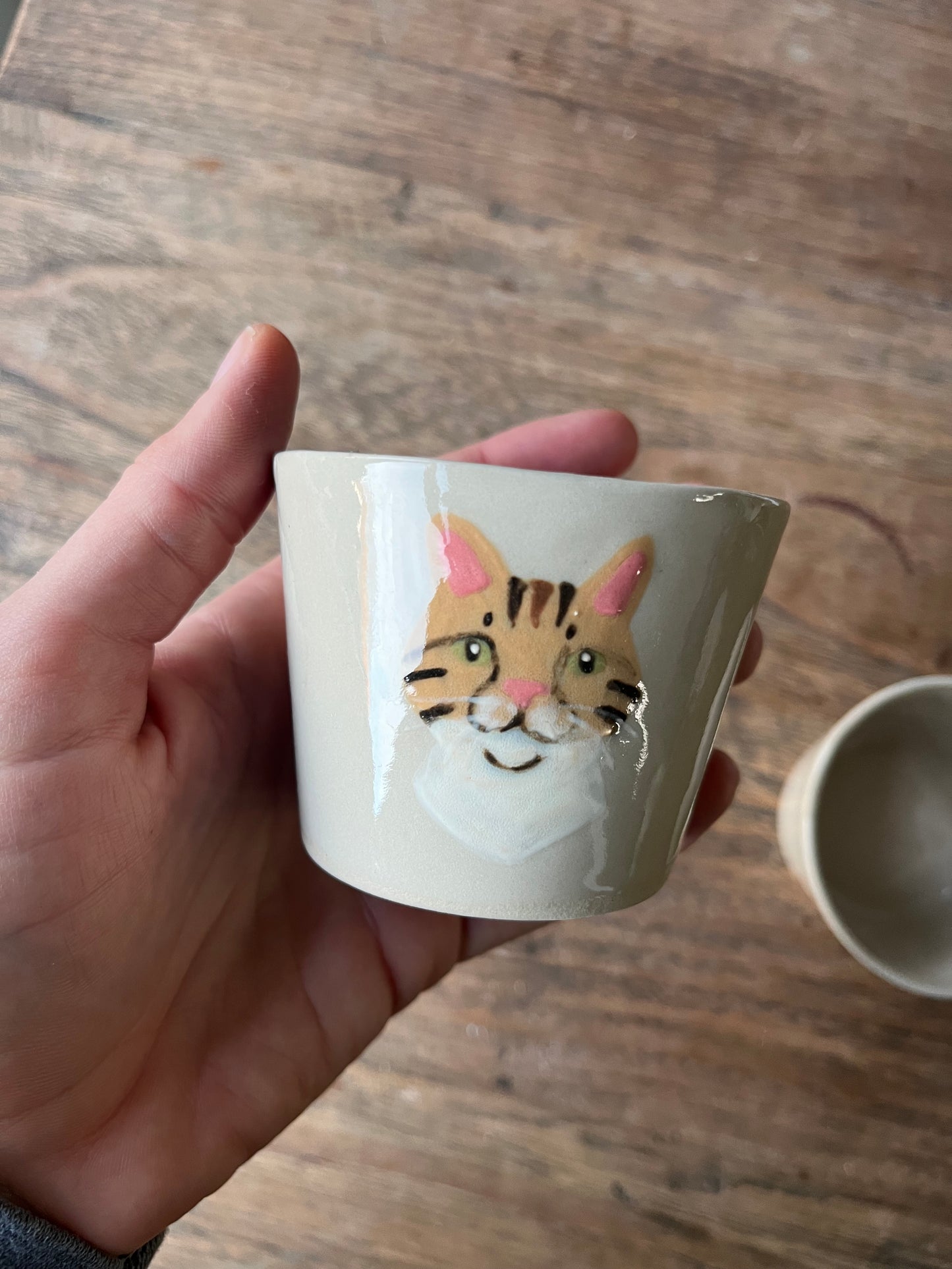 Kattenkopje - #2