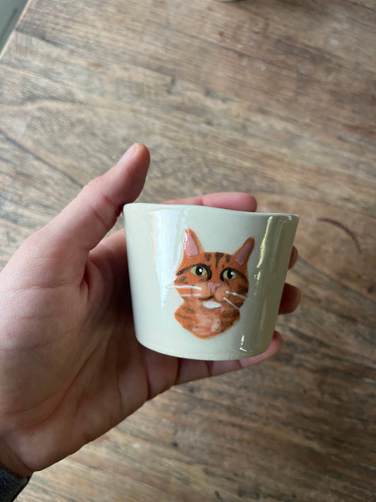 Kattenkopje - #2