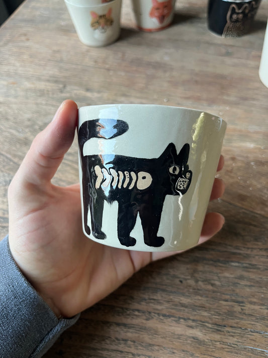 Kattenkopje kat met vis in buik #3