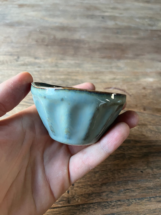 Sausbakje blauw