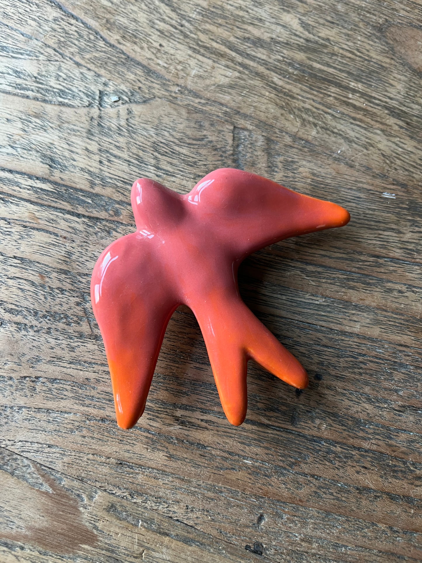 Zwaluw voor aan de muur roze oranje