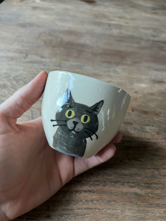 Kattenkopje grijze kat #1